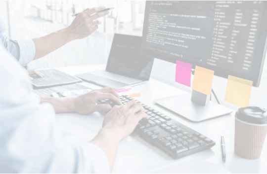 Web Development